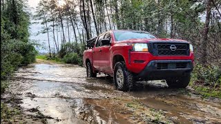 Scouting lake front camp spots OCALA NATIONAL FOREST [upl. by Shandra]