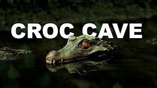 Divers Uncover Crocodile Caves Dark Secrets In Botswana  CROCODILE LABYRINTH  Wild Waters [upl. by Nichani]