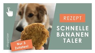 Rezept für schnelle Hundekekse  Leckerchen selber machen  nur 3 Zutaten  Bananentaler [upl. by Atinoj]