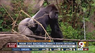 Miami zoo backs Cincinnati zoos decision [upl. by Rem]