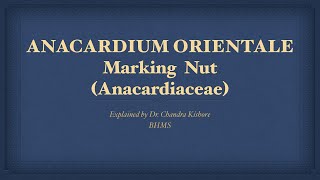 Anacardium Orientale  Allen’s Keynotes  Well Explained [upl. by Hcab]