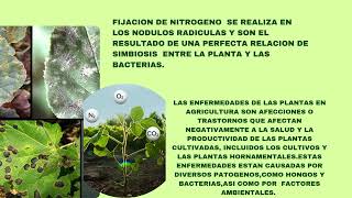 MICROORGANISMOS EN LA AGRICULTURA 1 4 [upl. by Bhayani]