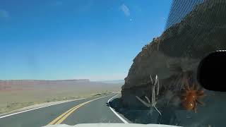 Kaibab N Forest US Hwy 89A East of Jacob Lake Arizona [upl. by Etnelav594]