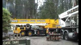 Mountain Ash Crane Removal [upl. by Adnelg]