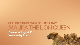 Malika The Lion Queen  WorldLionDay  NatGeoWild  RealisHere [upl. by Stormie]