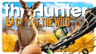 I hunted EVERY CLASS of animal with a BOW 𝗗𝗢𝗡𝗧 𝗧𝗥𝗬 𝗧𝗛𝗜𝗦  theHunter Call of the Wild [upl. by Yemrots]