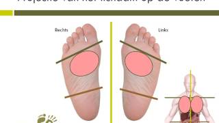 Voetreflexologie projectie organen op voeten [upl. by Potts396]
