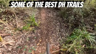 these are some of the best dh trails [upl. by Yelkao573]