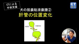 犬の胆嚢粘液嚢腫 手術支援② 肝管（7分13秒） [upl. by Moon836]