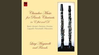 Gran Duetto Concertato on the Opera Sonnambula Bellini  for EFlat Clarinet BFlat Clarinet [upl. by Adnocahs]