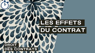 Les Effets du Contrat  Droit des Contrats [upl. by Kammerer]