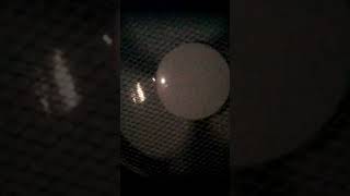 Cool stroboscopic effect i love this phenomenon full video on youtube [upl. by Bruell]