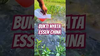 Essen china buat resah gaess fishing mancing essen viral fypage fypシ゚viral fyp fypyoutube [upl. by Yduj782]