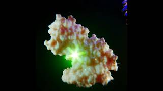 The Ecoli Exonuclease I cleaving nucleotides from single stranded DNA🧬😳 [upl. by Reeher]