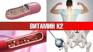 Продукт №1 богатый витамином К2 🔥 Источники витамина К2 [upl. by Innavoij]