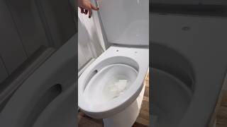 installing the best commode money can buy [upl. by Gabler]