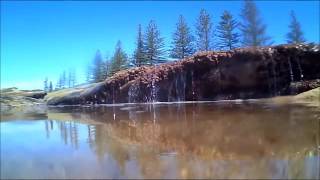 Shelly Beach Rock Pools Caloundra Queensland [upl. by Wonacott592]