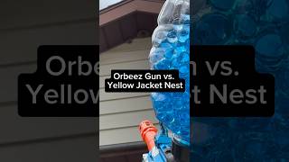 Orbeez Gun vs Yellow Jackets and Wasps 💥👉🐝 [upl. by Reinal]