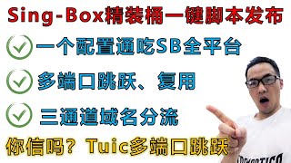 Singbox精装桶小白一键脚本一：全网独家Tuic端口跳跃设置方案，全自动生成一个singbox官方配置文件兼容SFASFISFW三平台客户端，脚本支持Argo隧道、双证书切换、域名分流 [upl. by Ashwin]