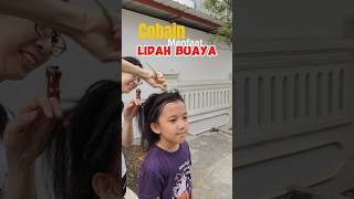 Eksperimen mencoba tanaman lidah buaya  untuk rambut experiment [upl. by Peter]