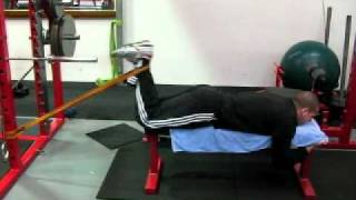 Band Hamstring CurlsAVI [upl. by Aitnas]