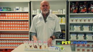 Bravecto Flea and Tick Prevention for Dogs and Cats [upl. by Rilda531]