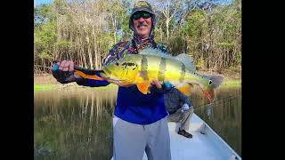 A beautiful Peacock Bass Açu caught in our exclusive waters in Brazil [upl. by Peck]