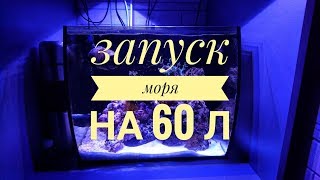 Запуск моря 57 л Аквариум Fluval FLEX 57 л Hagen Seawater aquarium [upl. by Terena]