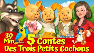 🔴 Les Trois Petits Cochons Et Le Grand Méchant Loup 🐷🐺🔴 I Cinq Contes I Contes de fées français [upl. by Liuka]