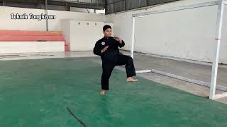 Tugas pencak silat teknik pukulantangkisantendangan Adnan alim bahri 230301501171 pjkr H [upl. by Ralleigh]