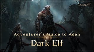 Lineage W Dark Elf｜Adventurers Guide to Aden [upl. by Pavia742]