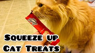 FIRST TRY DELECTABLES SQUEEZE UP CAT TREATS [upl. by Christopher77]