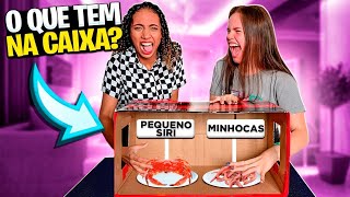 O QUE TEM NA CAIXA Box Challenge com LARI FREITAS [upl. by Yeca]