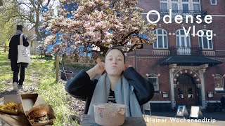 Vlog 43  Ein Wochenende in Odense Dänemark 🇩🇰  Pt 1 [upl. by Winer201]