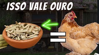 COMPROVADO ESSA PLANTA VALE OURO PARA EVITAR DOENÇAS NA SUA CRIAÇÃO [upl. by Vanny135]