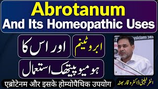 Abrotanum ابروٹینم एब्रोटेनम and its Homeopathic Uses by Dr Waqar Bhutta in Urdu  Hindi [upl. by Llehsyt]