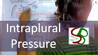 Lung pressure  Intraplural pressure [upl. by Amar]