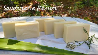 Savon hydratant à laloe vera  Recette facile et naturelle  Recipe for soap with fresh aloe vera [upl. by Eidoj]