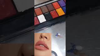 Lipstick shade mixing lipstick shade kaise bnayelipstick lipliner youtube [upl. by Euginom]