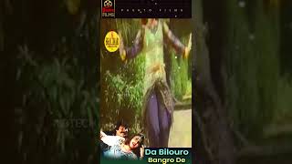 Musarrat Shaheen Short  Da Bilouro Bangro De  Pashto Dance Video shorts [upl. by Ahsenev103]