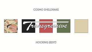 Cosmo Sheldrake  Hocking Edit [upl. by Iderf]