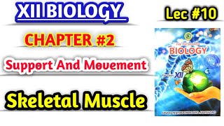 Skeletal muscle lec 10  Structure  class 12 biology new book [upl. by Petulah]