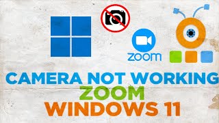 How to Fix Camera Not Working in Zoom on Windows 11 [upl. by Miarhpe]