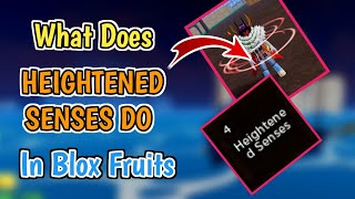 What Does Heightened Senses Do In Blox Fruits 2024  Every Thing Explained [upl. by Yerfoeg]