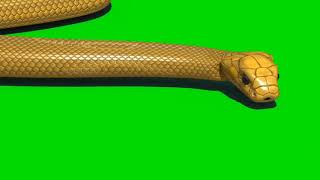 Snake Green Screen  Snake animation On Chrome Key [upl. by Winchell]