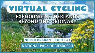 Fietsroute door het Nationaal Park De Biesbosch  Virtueel Fietsen [upl. by Beltran]