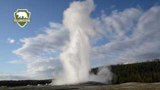 Old Faithful Geyser in Yellowstone National Park [upl. by Addiel]