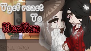 Tgcf react 🔥 hualian  wind master  Tgcf  bl  react [upl. by Krysta639]