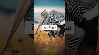 Al Quran surah baqarah ayat 286Quran Urdu translationQuranUrduHinditranslation Qurantilwat [upl. by Fey]