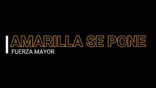 DJ SANTRIXAMARILLA SE PONEFUERZA MAYORSALSA [upl. by Rowena592]